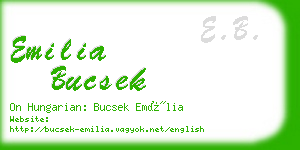 emilia bucsek business card